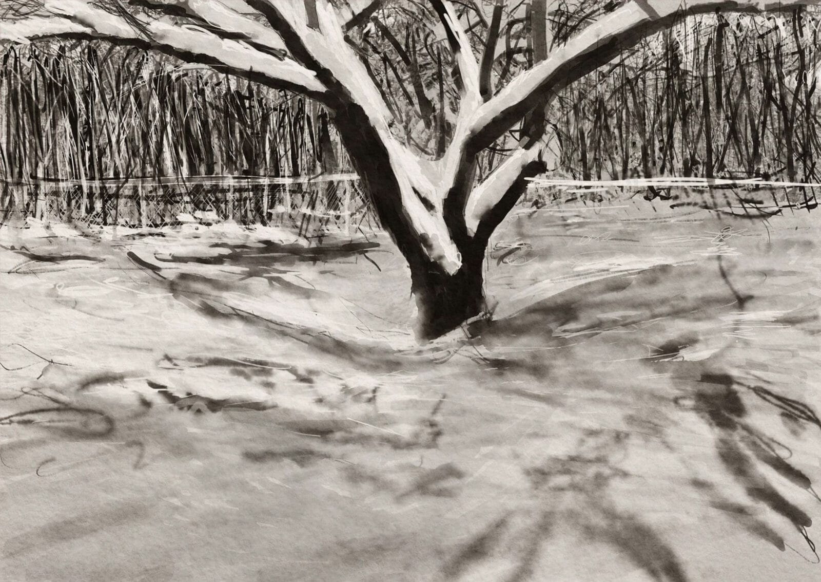 digital charcoal drawing of a crabapple tree after a snow storm